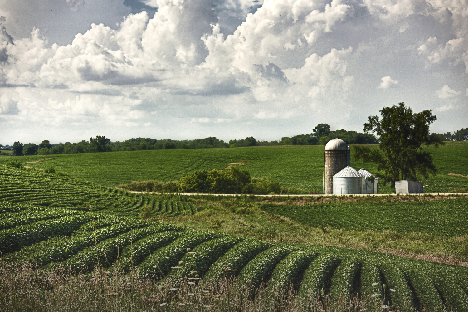 Rural Iowa