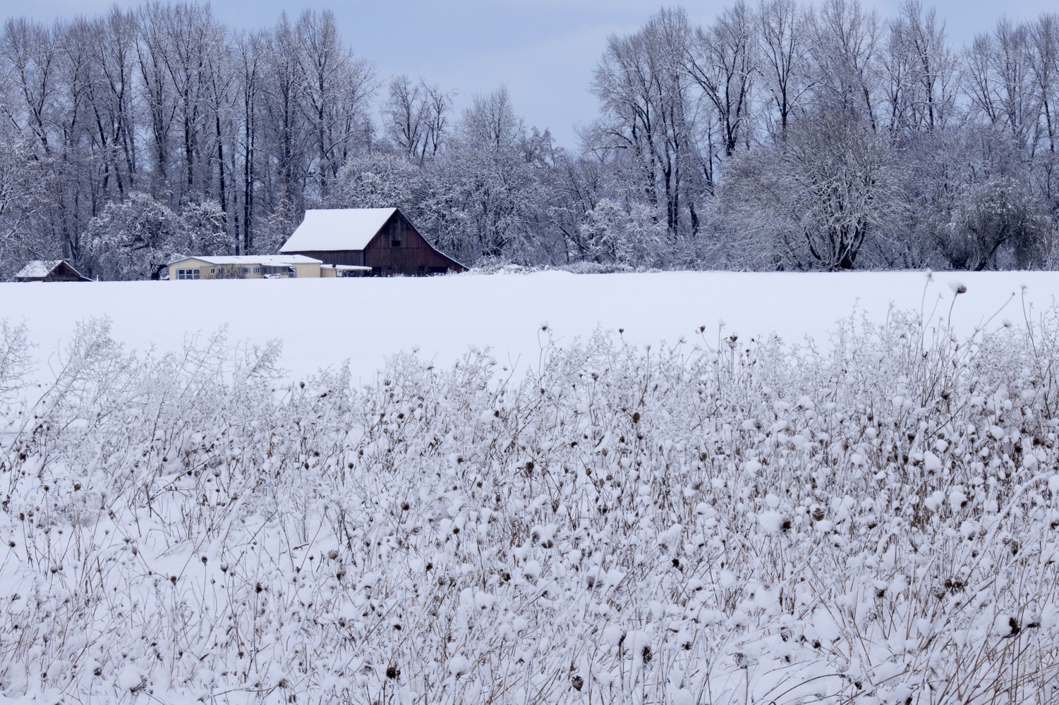 Polk County, Oregon